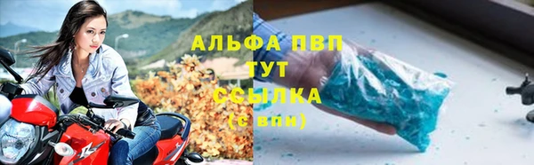 дурь Богданович