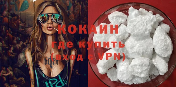 крисы Каменногорск