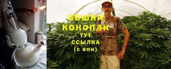 дурь Богданович