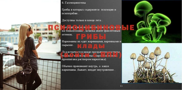 метамфетамин Богородицк