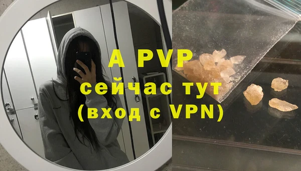 крисы Каменногорск