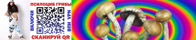купить   omg онион  Псилоцибиновые грибы Magic Shrooms  Губкинский 